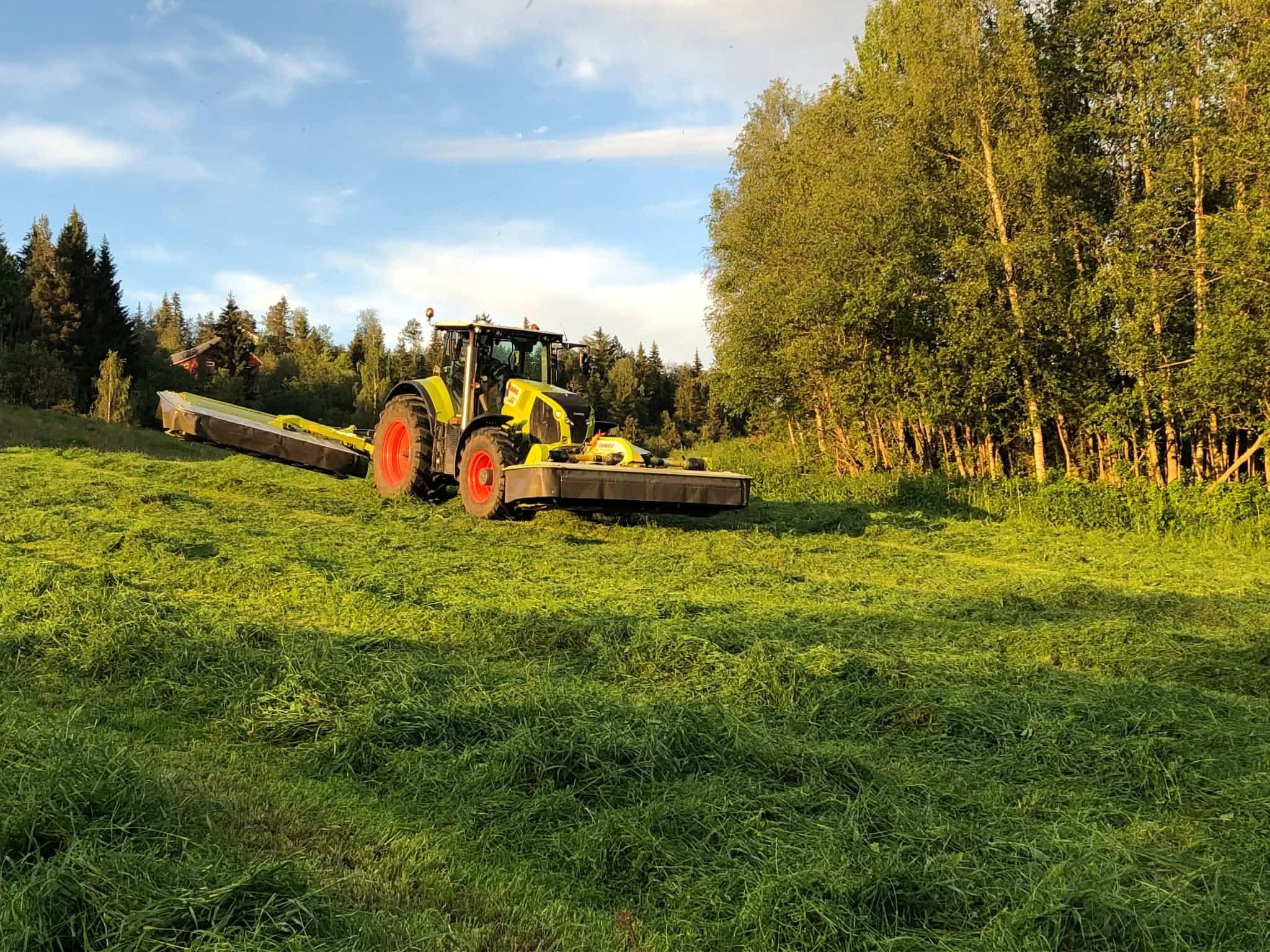 Slåmaskin i arbeid langs skogkanten i låg kveldssol