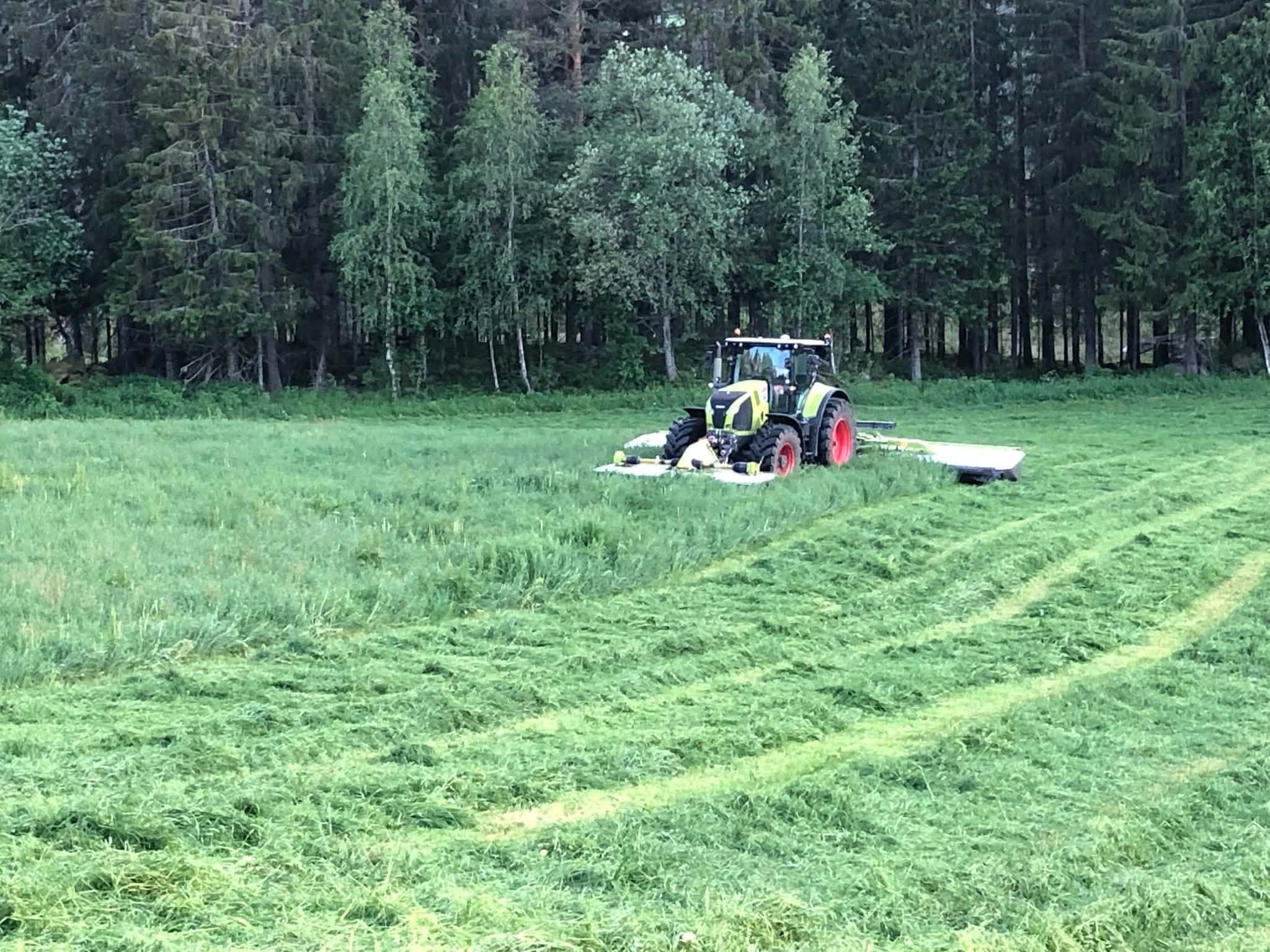 Traktor med slåmaskin i høgt, grønt gras framfor skogkanten